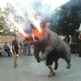 Festival de Bruc