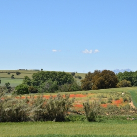 Fiesta Verde y de la Biodiversidad en Mollet del Vallès