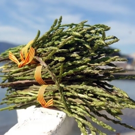 Foire aux asperges à Port de la Selva