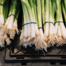 Onion and Calçot Fair in Vila-sacra