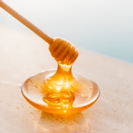 Foire du miel biologique de Sant Pere de Vilamajor