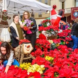 Feria de la Purísima en Sant Boi de Llobregat