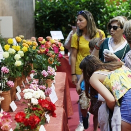 Feria de la Rosa en Roses