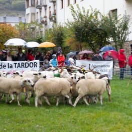 Fira de Tardor de Sort