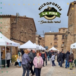 Microtown Fair of Catalonia in Planoles