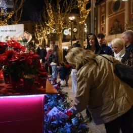 Fira de Nadal de Mataró