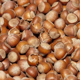 Sant Llorenç Fair and Hazelnut Fair in Riudoms