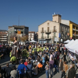 Foire de Sant Martí à Puig-reig