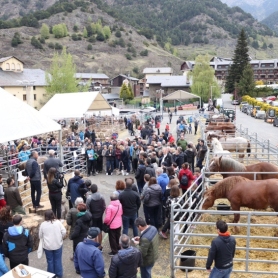 Foire du bétail d'Ordino