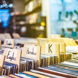 Record Fair in Santa Eugènia de Berga