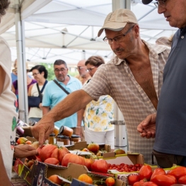 Fira del Tomàquet de Santa Eulàlia de Ronçana