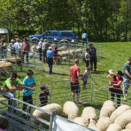 Fira dels productes del Parc Natural de l'Alt Pirineu i de l'Ovella&#8230;