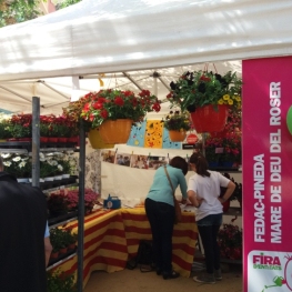 Fira d'Entitats de Pineda de Mar