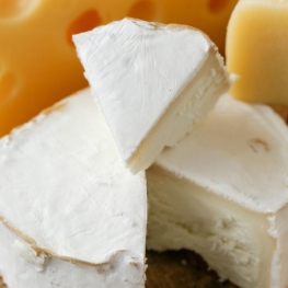 European Cheese Fair in Ripoll