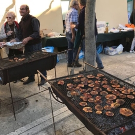 Foire aux champignons de Sant Sadurní de l'Heura