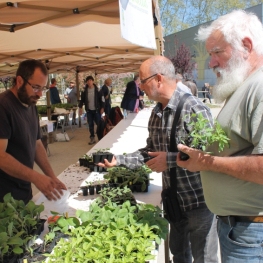 Foire "Lliga't a la terra" à Santa Eulalia de Ronçana