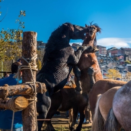 Fira Multisectorial de Puigcerdà