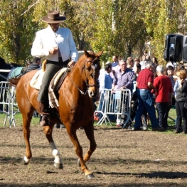 Feria Sant Martirià en Banyoles