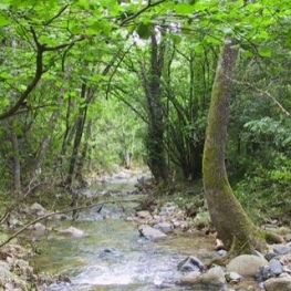 Game of the ecosystems of the river of Fuirosos in Sant Celoni