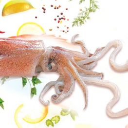 Jornadas gastronómicas del Calamar de Arenys. Calamarenys