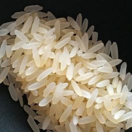 Jornadas gastronómicas del arroz en Lloret de Mar