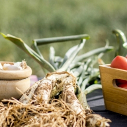 Calçot gastronomic days in Mont-roig del Camp and Miami Platja