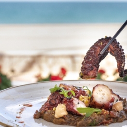 Gastronomic Days of the Octopus of Mont-roig and Miami Platja