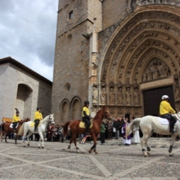 Les chevaux à Castelló d&#39;Empúries