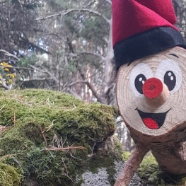 The Trunk of Christmas in MónNatura Pirineus