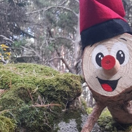 Le coffre de Noël à MónNatura Pirineus