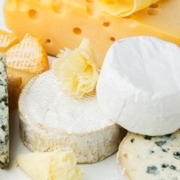 Lactium, dégustation de fromages catalans à Vic