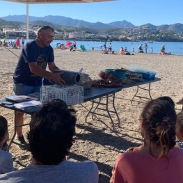 Llançà Summer, beach library