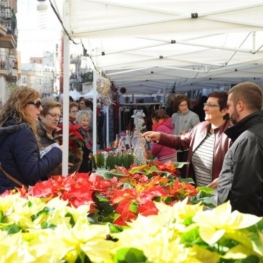 Santa Llúcia de Amposta Market