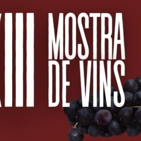 Exposition de vins à Navàs