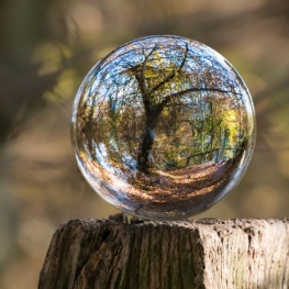 Nature and Creativity - European Waste Prevention Week