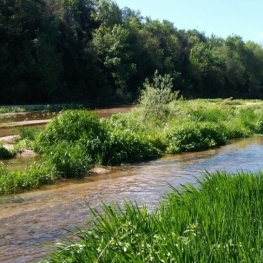 Promenade guidée "Descendre la rivière Tordera" à Fogars&#8230;