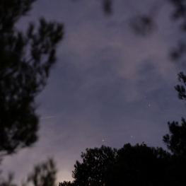Passejada nocturna de Rocamora a Argençola