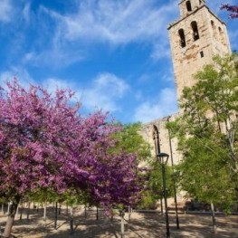 Guided walks through the parks and gardens of Sant Cugat del&#8230;
