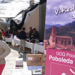 Poboleda Vins