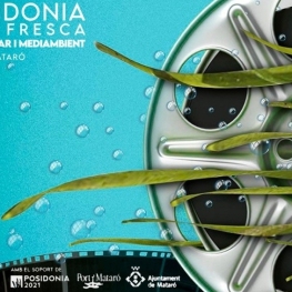 Posidonia al aire libre en Mataró