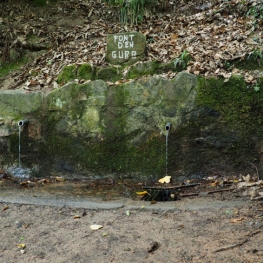 Itinéraire guidé vers la Font d&#39;en Gurb à Sant Hilari&#8230;