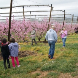 Itinéraire Alcarràs Florit