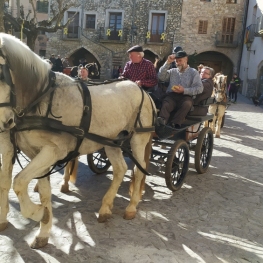 Sant Antoni Abad in La Llacuna