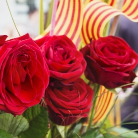Sant Jordi aux Masies de Voltregà