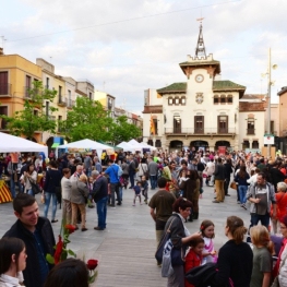 Sant Jordi a Sant Celoni