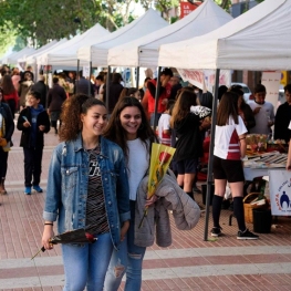 Sant Jordi a Santa Perpètua de Mogoda