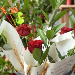Sant Jordi, Festival of the book and the rose in Tortosa