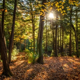 Semaine de la nature à Mataró