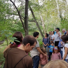 Forest week in Sant Celoni