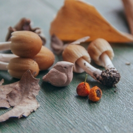 Cuisine d&#39;automne et champignons à Terrassa